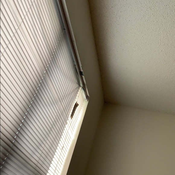 Meet your Posher, Argyll - Picture 1 of 1